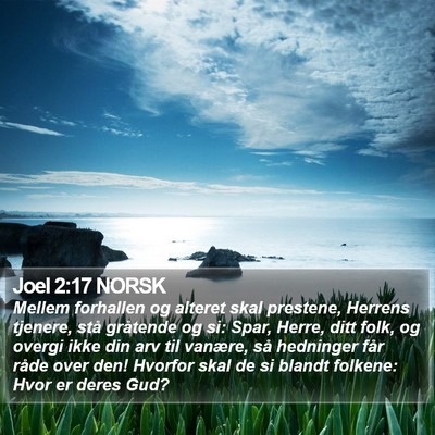 Joel 2:17 NORSK Bible Verse Image