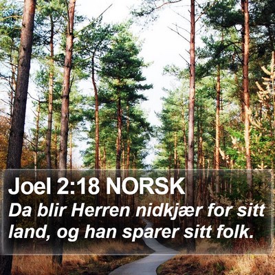 Joel 2:18 NORSK Bible Verse Image