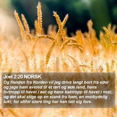 Joel 2:20 NORSK Bible Verse Image