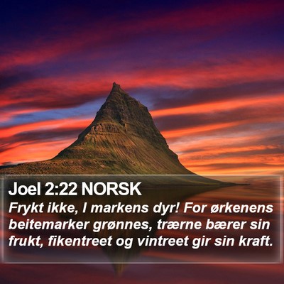 Joel 2:22 NORSK Bible Verse Image