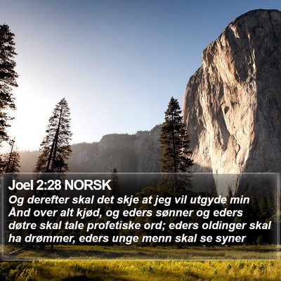 Joel 2:28 NORSK Bible Verse Image