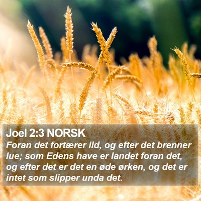 Joel 2:3 NORSK Bible Verse Image