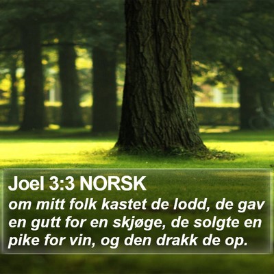 Joel 3:3 NORSK Bible Verse Image