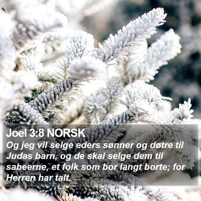 Joel 3:8 NORSK Bible Verse Image