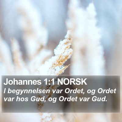 Johannes 1:1 NORSK Bible Verse Image