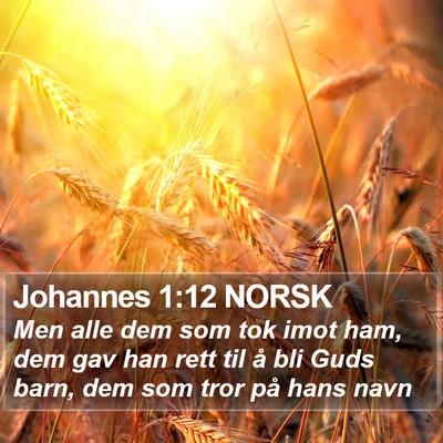 Johannes 1:12 NORSK Bible Verse Image