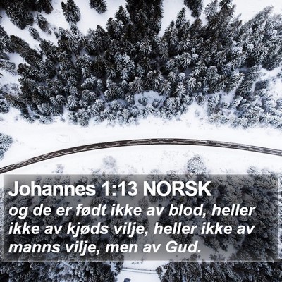 Johannes 1:13 NORSK Bible Verse Image