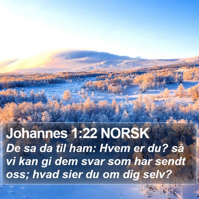 Johannes 1:22 NORSK Bible Verse Image
