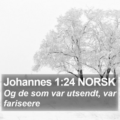 Johannes 1:24 NORSK Bible Verse Image