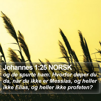 Johannes 1:25 NORSK Bible Verse Image