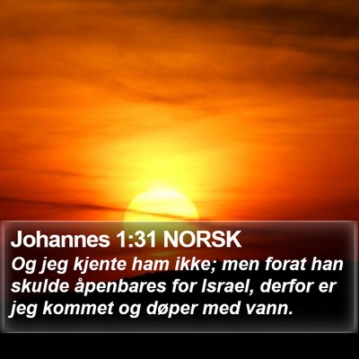 Johannes 1:31 NORSK Bible Verse Image