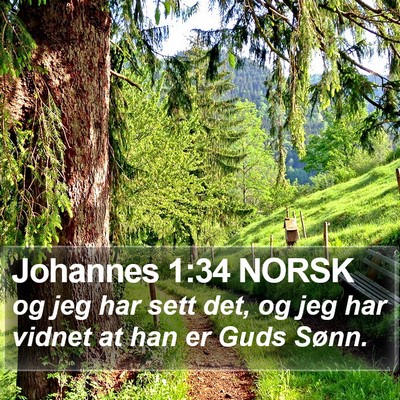 Johannes 1:34 NORSK Bible Verse Image