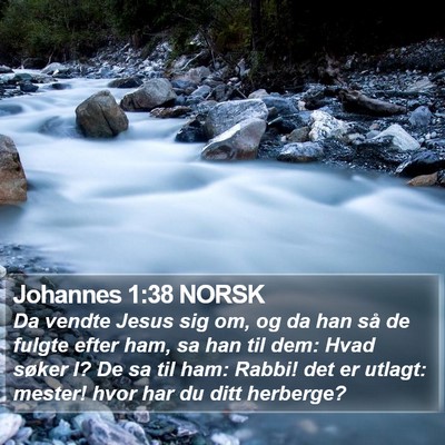 Johannes 1:38 NORSK Bible Verse Image
