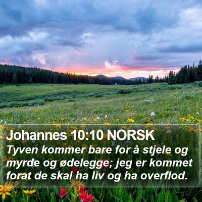 Johannes 10:10 NORSK Bible Verse Image