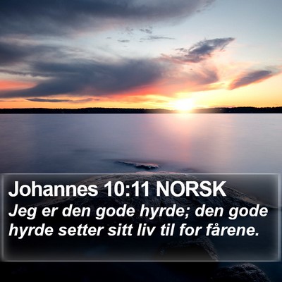 Johannes 10:11 NORSK Bible Verse Image