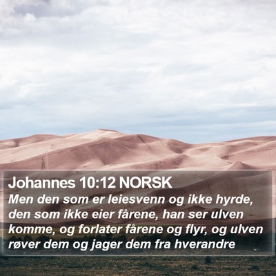 Johannes 10:12 NORSK Bible Verse Image