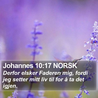 Johannes 10:17 NORSK Bible Verse Image