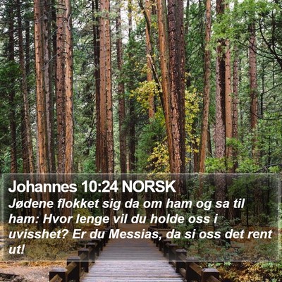 Johannes 10:24 NORSK Bible Verse Image