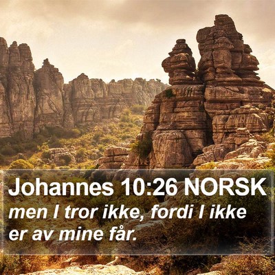 Johannes 10:26 NORSK Bible Verse Image