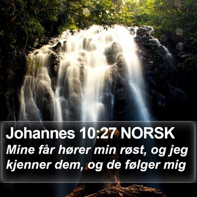 Johannes 10:27 NORSK Bible Verse Image