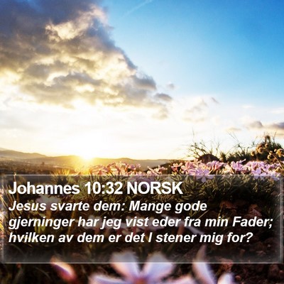 Johannes 10:32 NORSK Bible Verse Image