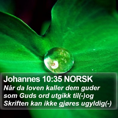 Johannes 10:35 NORSK Bible Verse Image