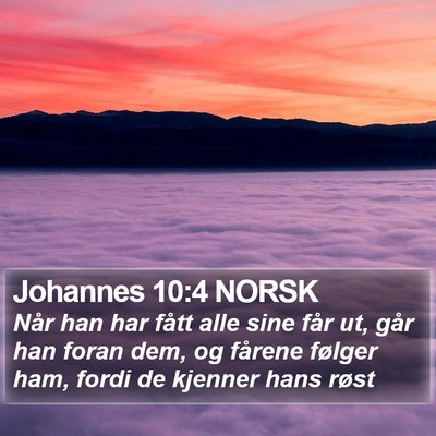 Johannes 10:4 NORSK Bible Verse Image