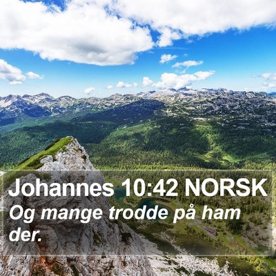 Johannes 10:42 NORSK Bible Verse Image