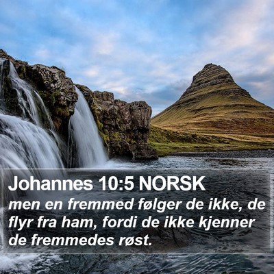 Johannes 10:5 NORSK Bible Verse Image