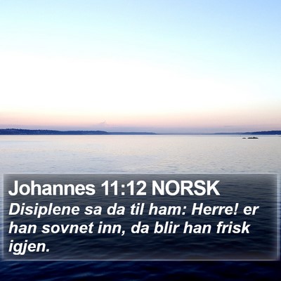 Johannes 11:12 NORSK Bible Verse Image