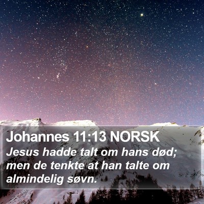 Johannes 11:13 NORSK Bible Verse Image