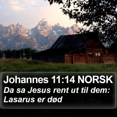 Johannes 11:14 NORSK Bible Verse Image