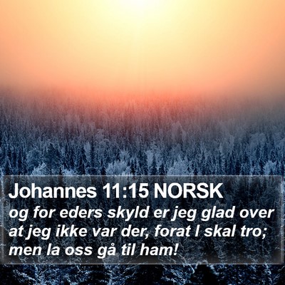 Johannes 11:15 NORSK Bible Verse Image