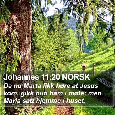 Johannes 11:20 NORSK Bible Verse Image