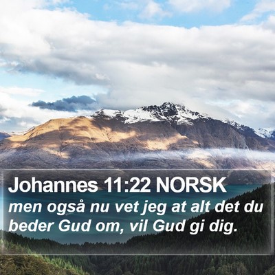Johannes 11:22 NORSK Bible Verse Image