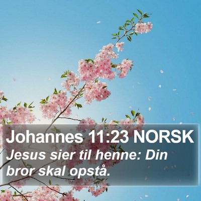 Johannes 11:23 NORSK Bible Verse Image