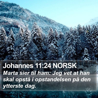 Johannes 11:24 NORSK Bible Verse Image