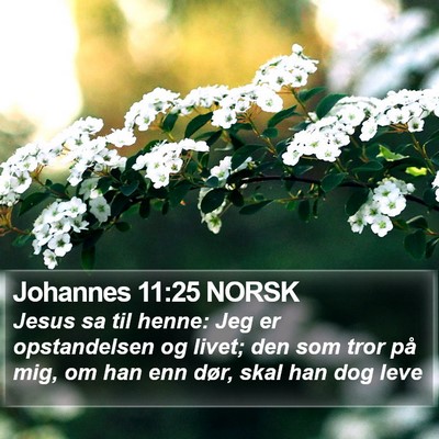 Johannes 11:25 NORSK Bible Verse Image