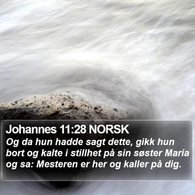 Johannes 11:28 NORSK Bible Verse Image