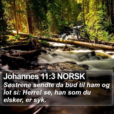 Johannes 11:3 NORSK Bible Verse Image
