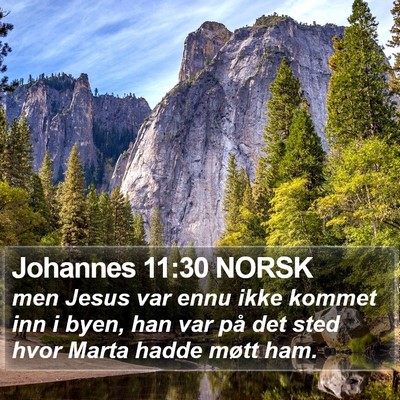 Johannes 11:30 NORSK Bible Verse Image
