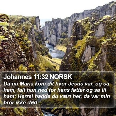Johannes 11:32 NORSK Bible Verse Image