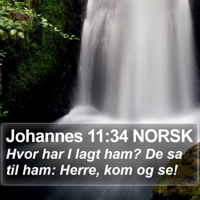 Johannes 11:34 NORSK Bible Verse Image