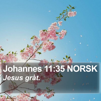Johannes 11:35 NORSK Bible Verse Image