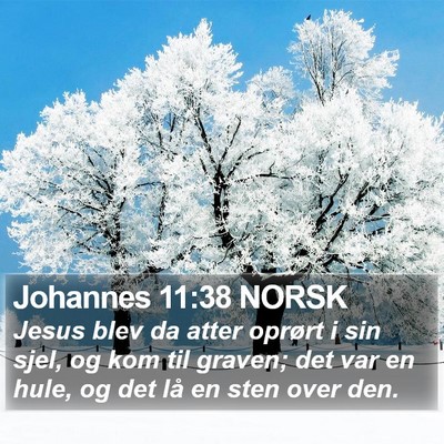 Johannes 11:38 NORSK Bible Verse Image