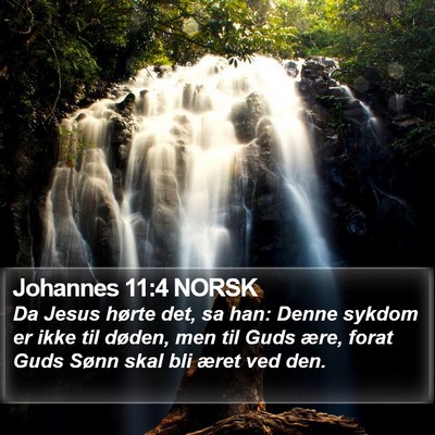 Johannes 11:4 NORSK Bible Verse Image