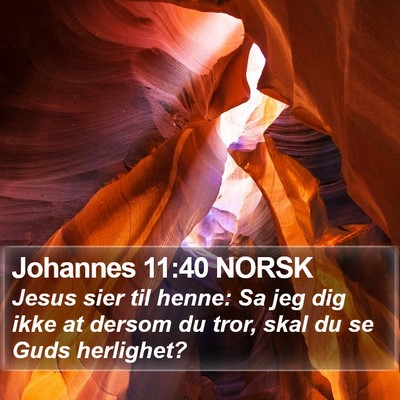 Johannes 11:40 NORSK Bible Verse Image