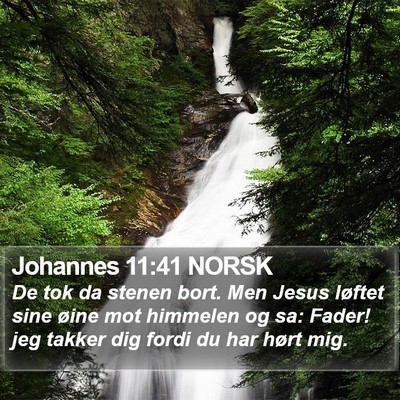 Johannes 11:41 NORSK Bible Verse Image