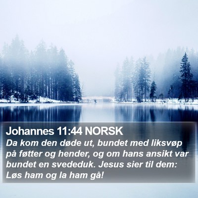 Johannes 11:44 NORSK Bible Verse Image