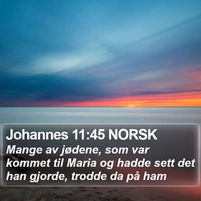 Johannes 11:45 NORSK Bible Verse Image